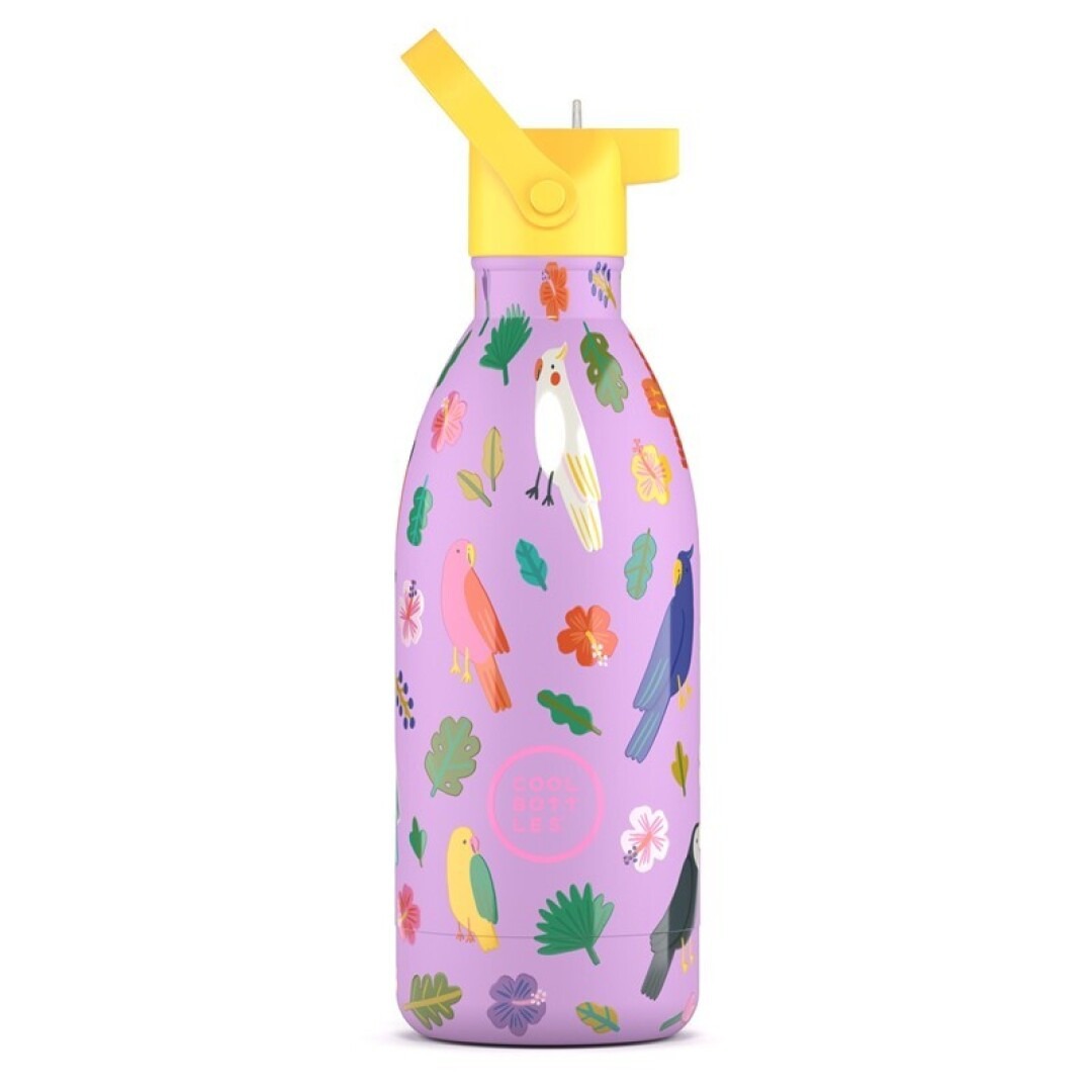 BOTELLA 500ML KIDS BOTTLE FLY FREE