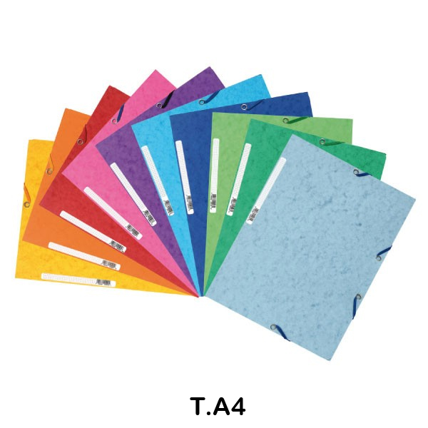PACK 10 CARPETAS NATURE 400GR V/COLORES
