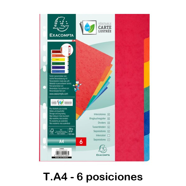 JUEGO 6 SEPARADORES CARTULINA 6 POSICIO