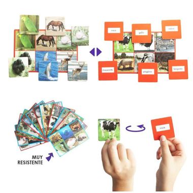 LOTO: 72 ANIMALES