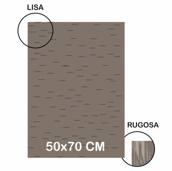 CARTULINA LR 220G 50X70 GRIC MEDIO CHIN