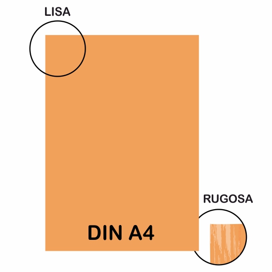 CARTULINA LR 220GR A4 CUERO AVANA