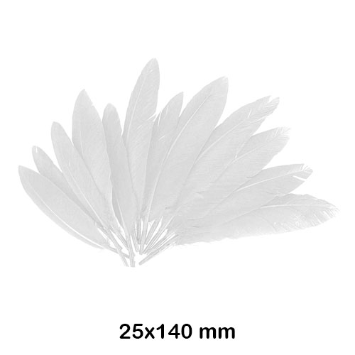 PAQ. 60 PLUMAS 14CM COLOR BLANCO
