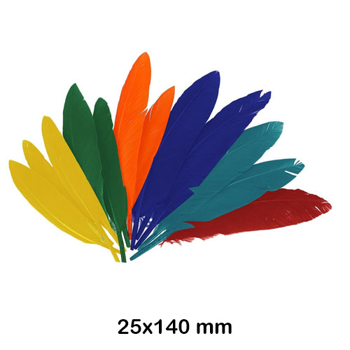 PAQ. 60 PLUMAS 14CM COLORES VARIADOS
