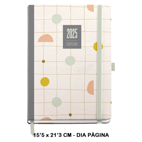 AGENDA PLUS D/P COLOR SILVIA 2025