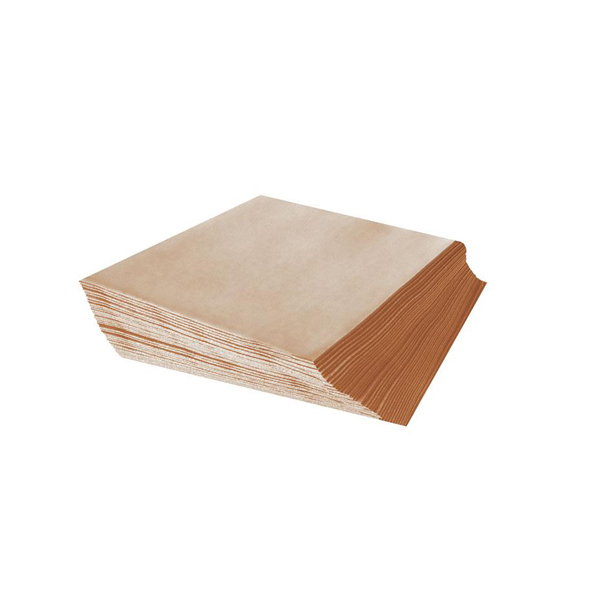 PAQ.100  SERVILL.BIODEGR.20X20CM 2 CAPA
