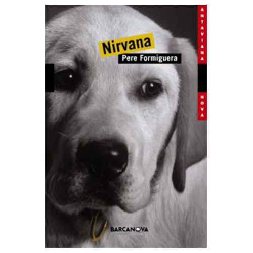 NIRVANA