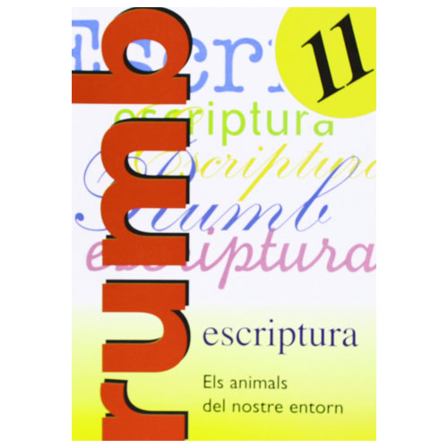 CUADERNO RUMBO ESCRITURA Nº11