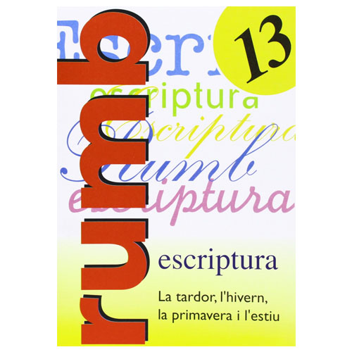CUADERNO RUMBO ESCRITURA Nº13