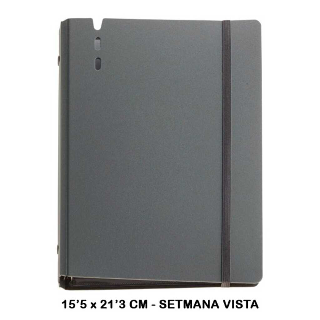 agenda anillas plus s/vv grafito 2025