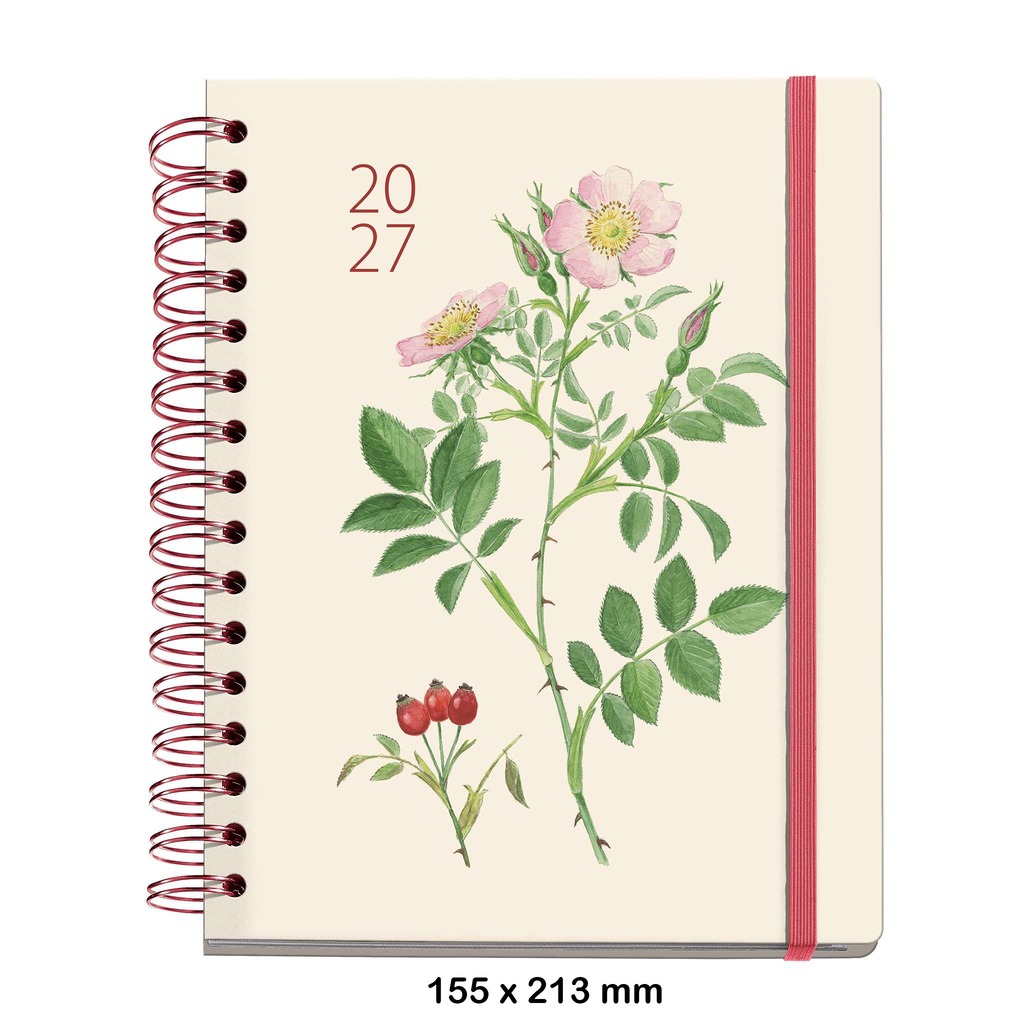 agenda plus w-o d/p rosae entredos27