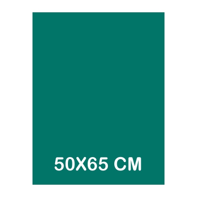 cartulina iris 50x65cm verde amazonas