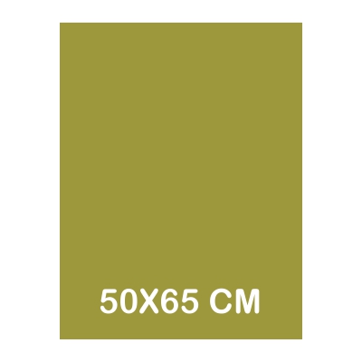 cartulina iris 50x65cm 185gr ver.safari