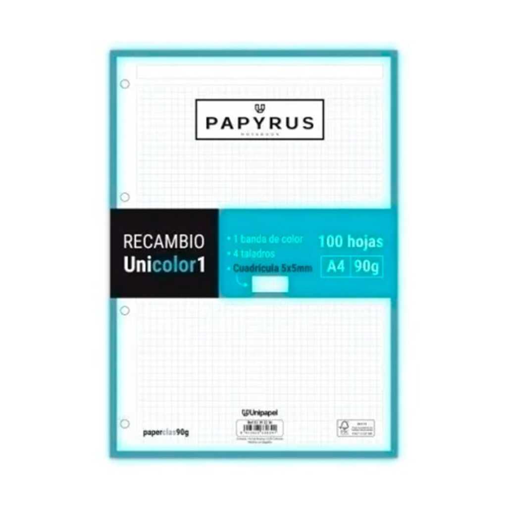 recanvi papyrus a4 100h 90gr 5x5 turq