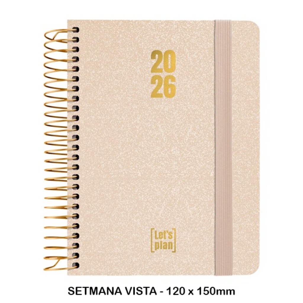 agenda 26 s/v a6 metallic arena