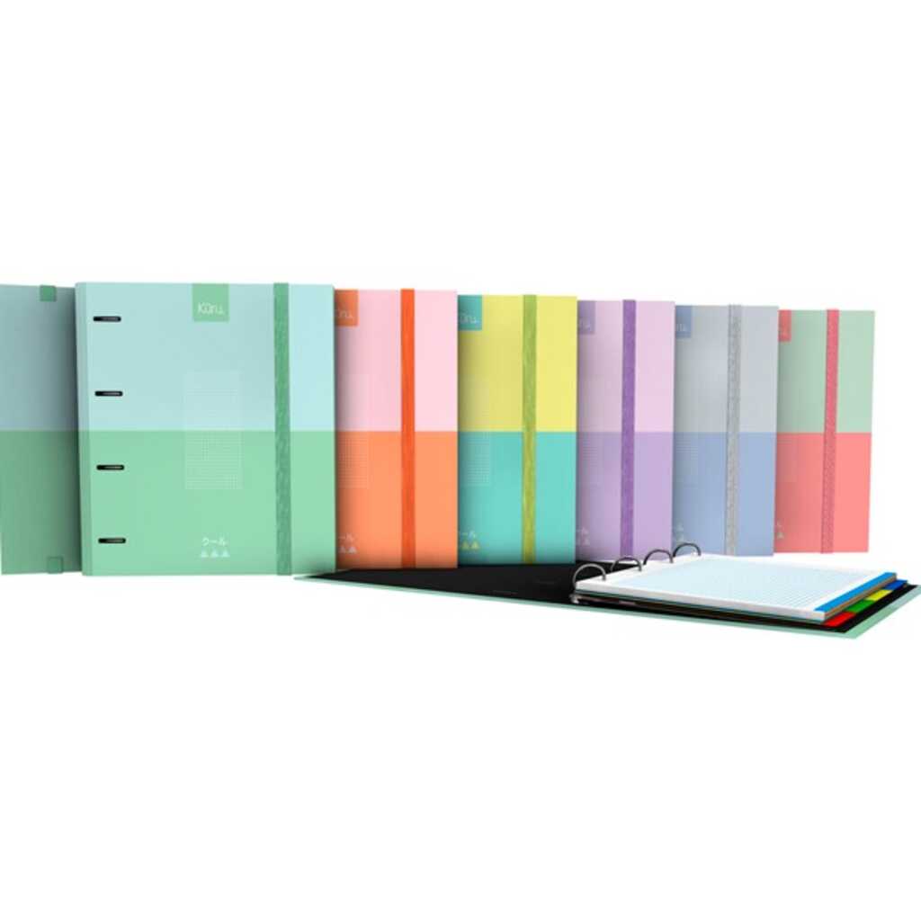 carpebook forr 4d35 a4 kuru surtido