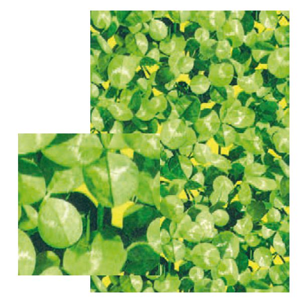 hoja decopatch 30x40cm. ref: 404