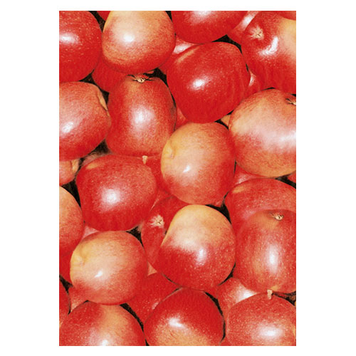 hoja decopatch 30x40cm. ref: 491