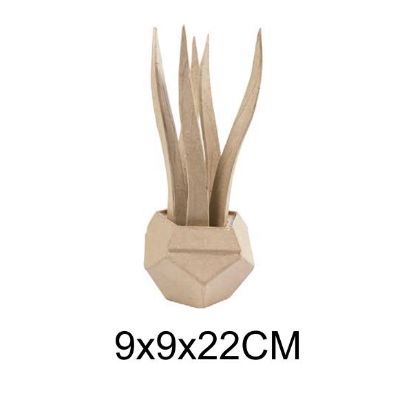 cactus 'suculente' decopatch