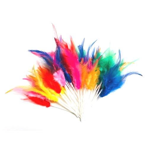 paquete 144 plumas mona 12cm.de colores