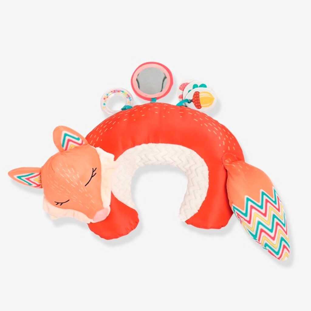 coixi activitats guineu