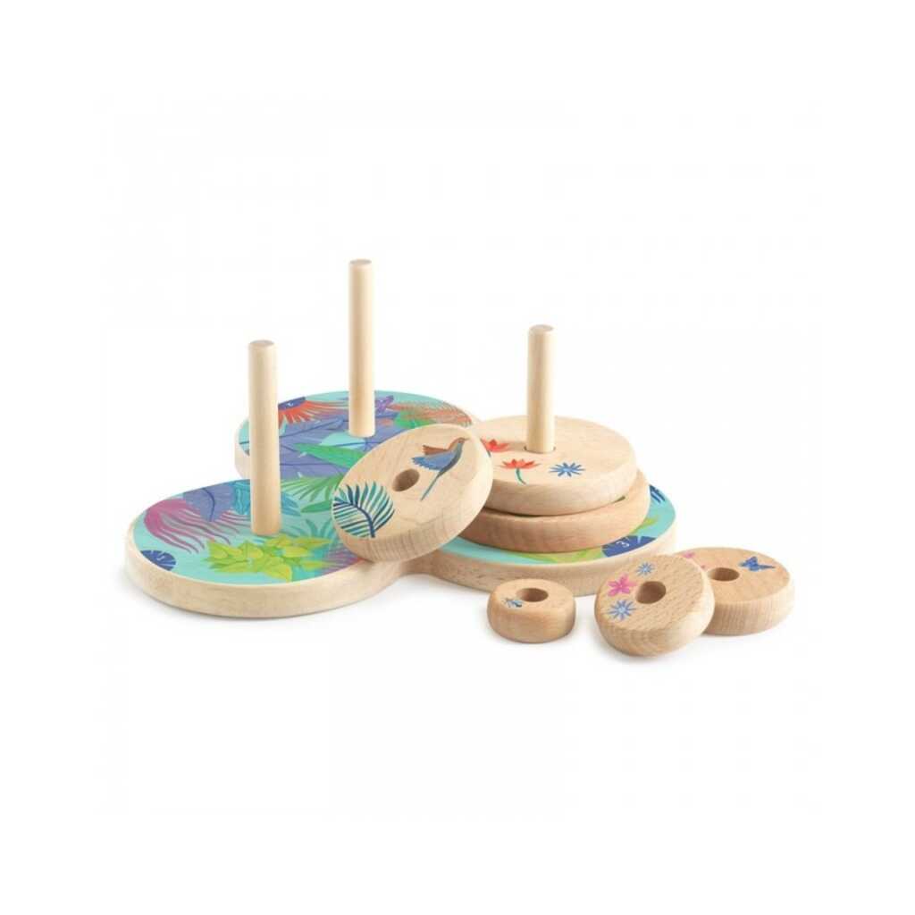 joc sologic tour d'anoi