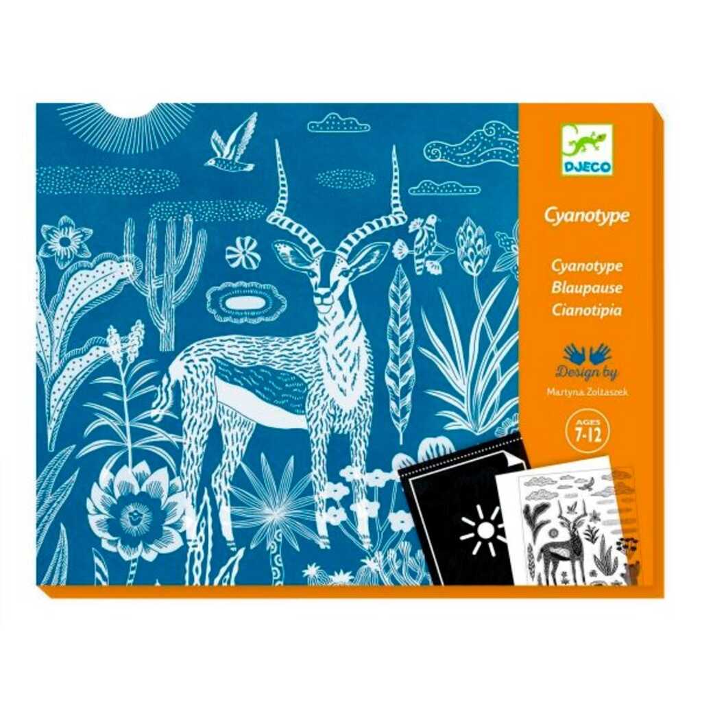 taller sabana nocturna