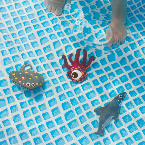 buceo animales , tiburon,raya y pulpo