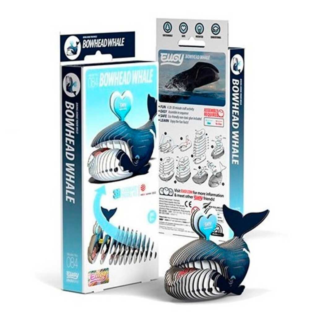 eugy ballena de groenlandia