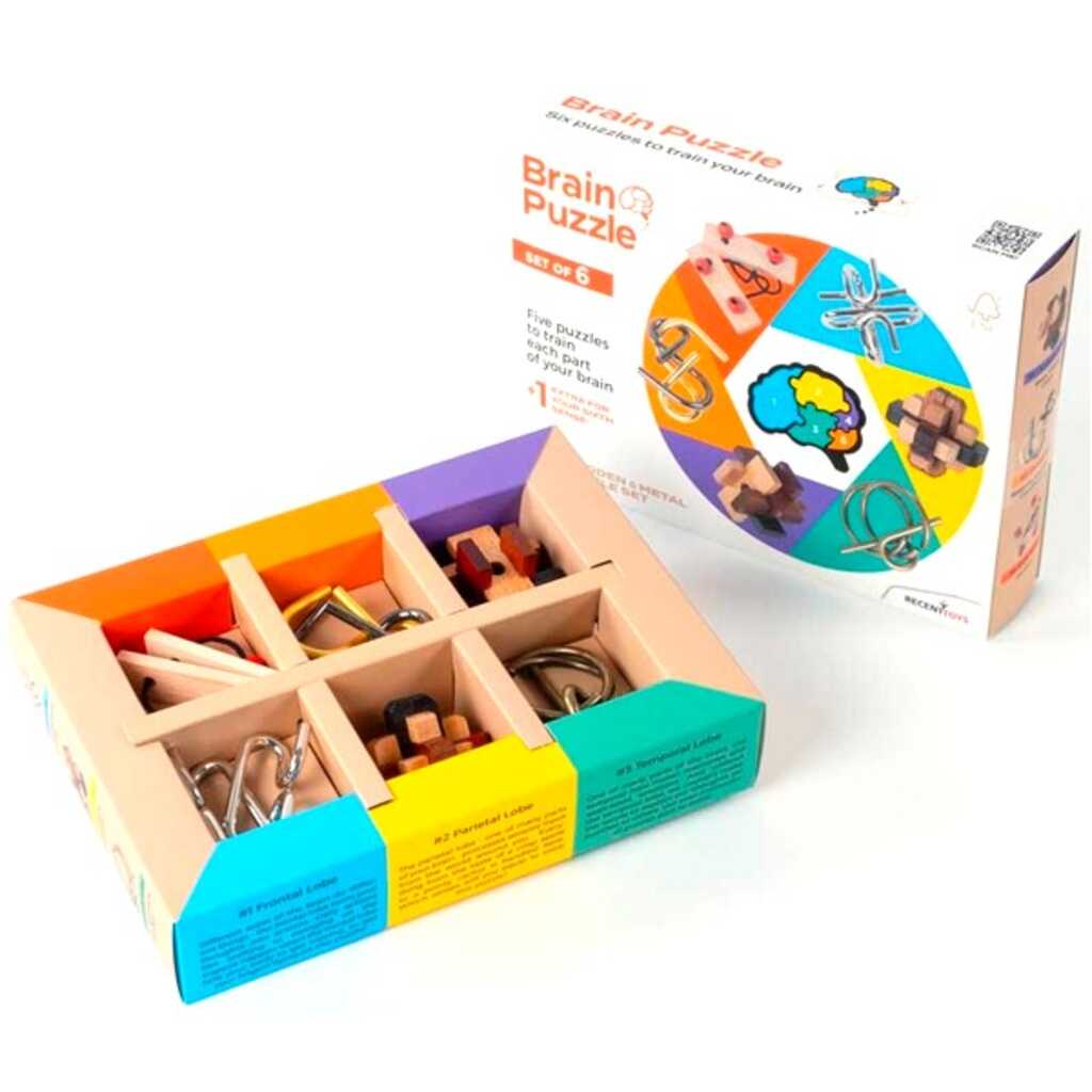 brain puzzle set de 6