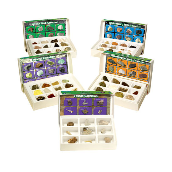 coleccion completa de rocas y fosiles