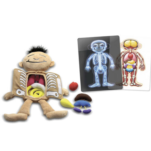 qu hay dentro de mi mu¥eca?