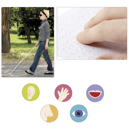 juego de los sentidos