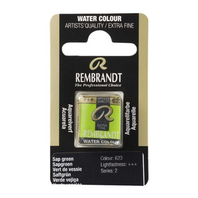 aquarel.la rembrandt pasti. verd vejiga