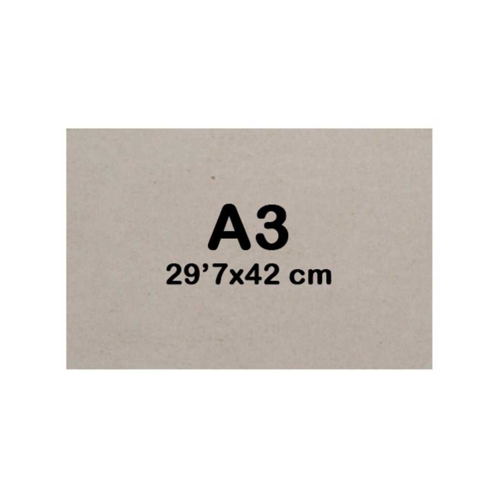 carton gris extra 2mm tamaâ¥o a3