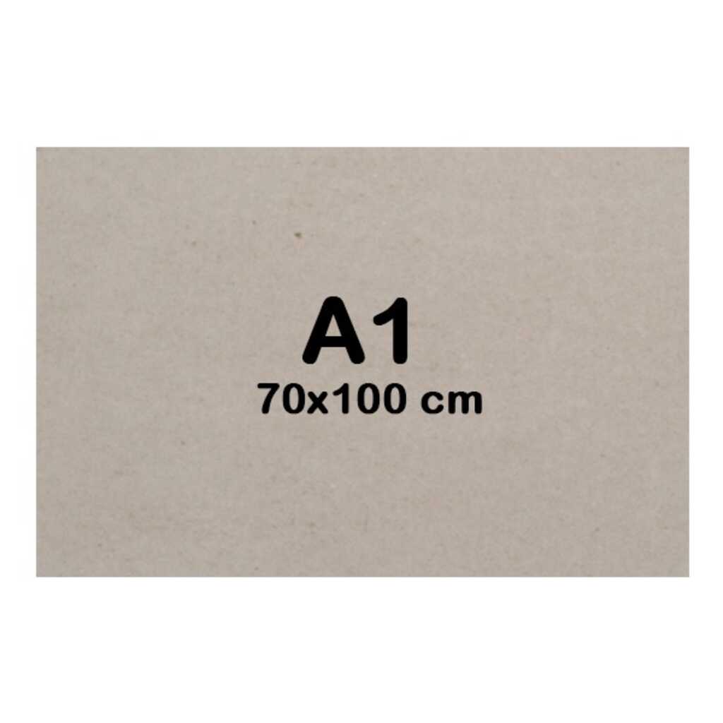 carton gris extra 2mm tamaâ¥o 70x100cm