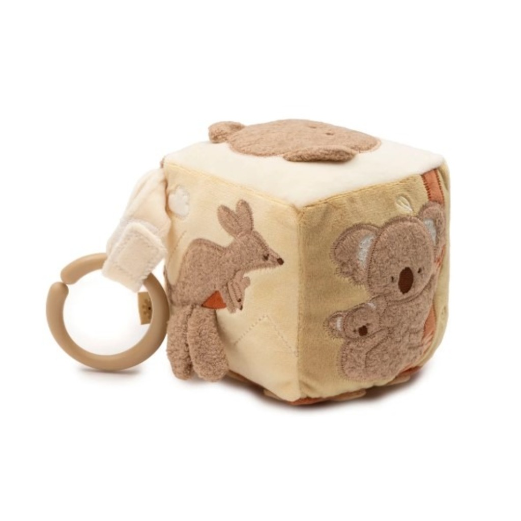 activity cube kangaroots