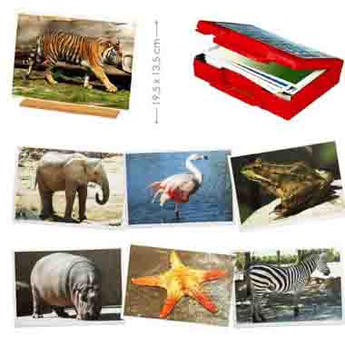 fotografias de animales