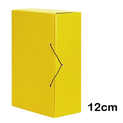 caja proyecto carton amarillo 12 cm.