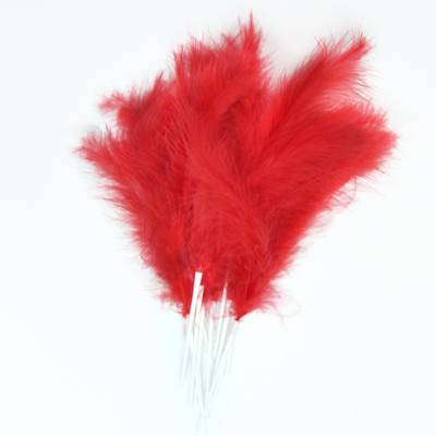 paquete 12 plumas mona 12cm. rojo