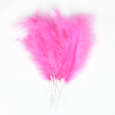 paquete 12 plumas mona 12cm rosa