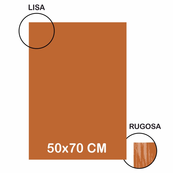 cartulina lr 220gr 50x70 marron claro