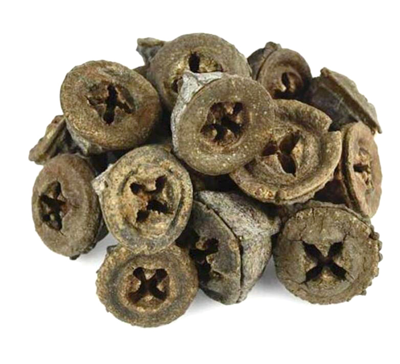 Eucalipto bayas granel 1Kg ecológico Heres del Molí (por encargo)