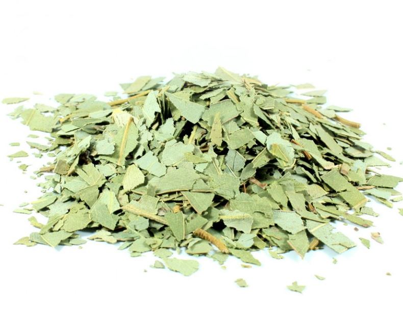 Eucalipto hoja granel 1Kg ecológico Herbes del Molí (por encargo)