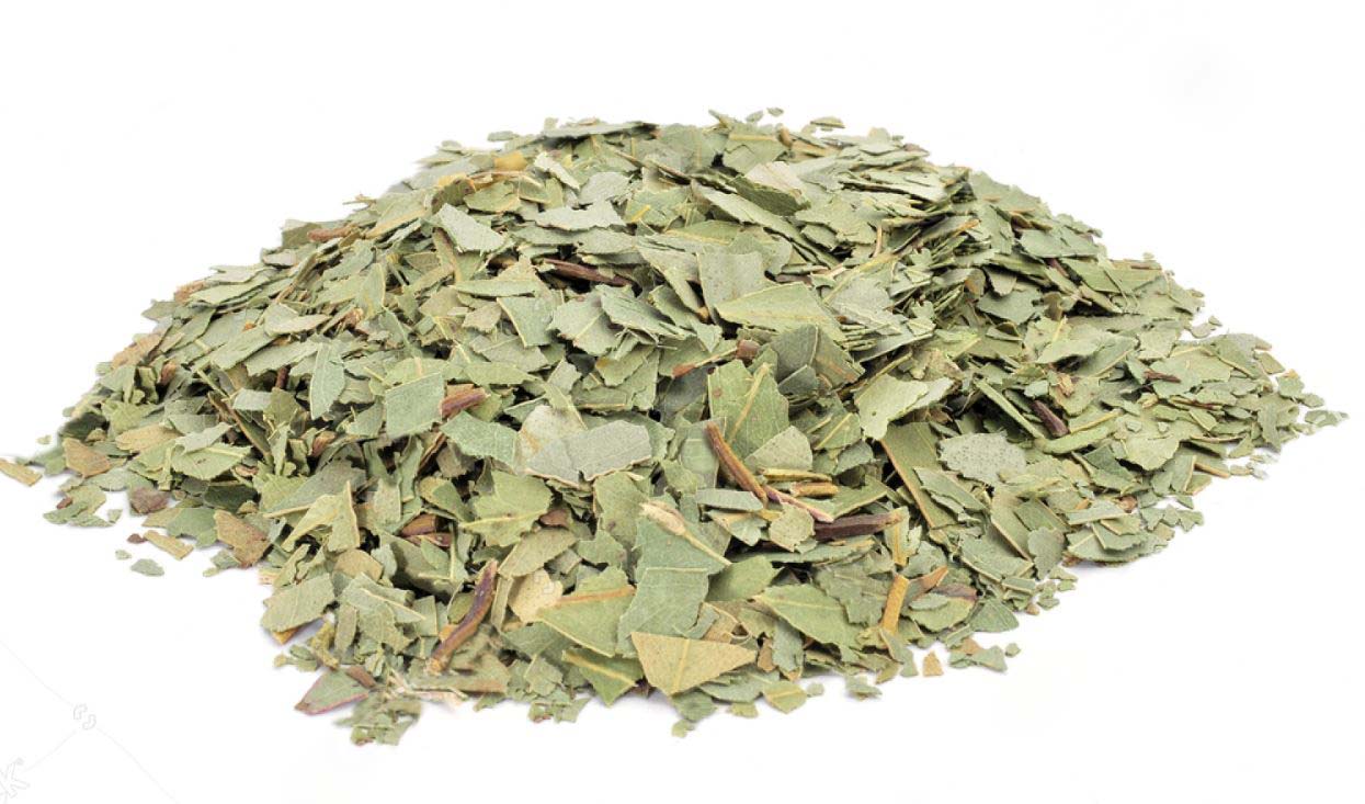 Eucalipto hoja cortada granel 1Kg ecológico Herbes del Molí (por encargo)