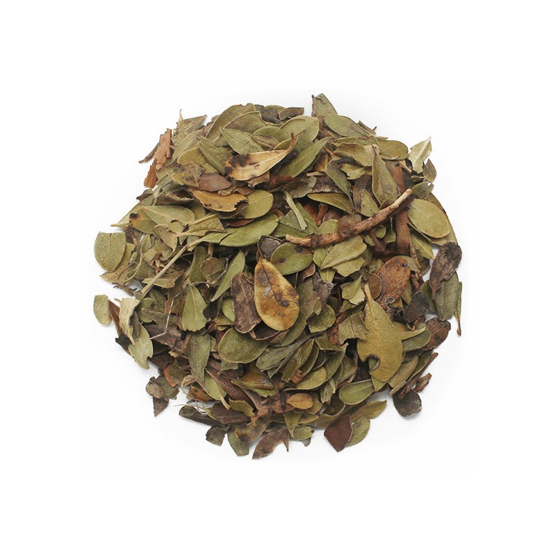 Gayuba hojas granel 1Kg ecológico Herbes del Molí (por encargo)