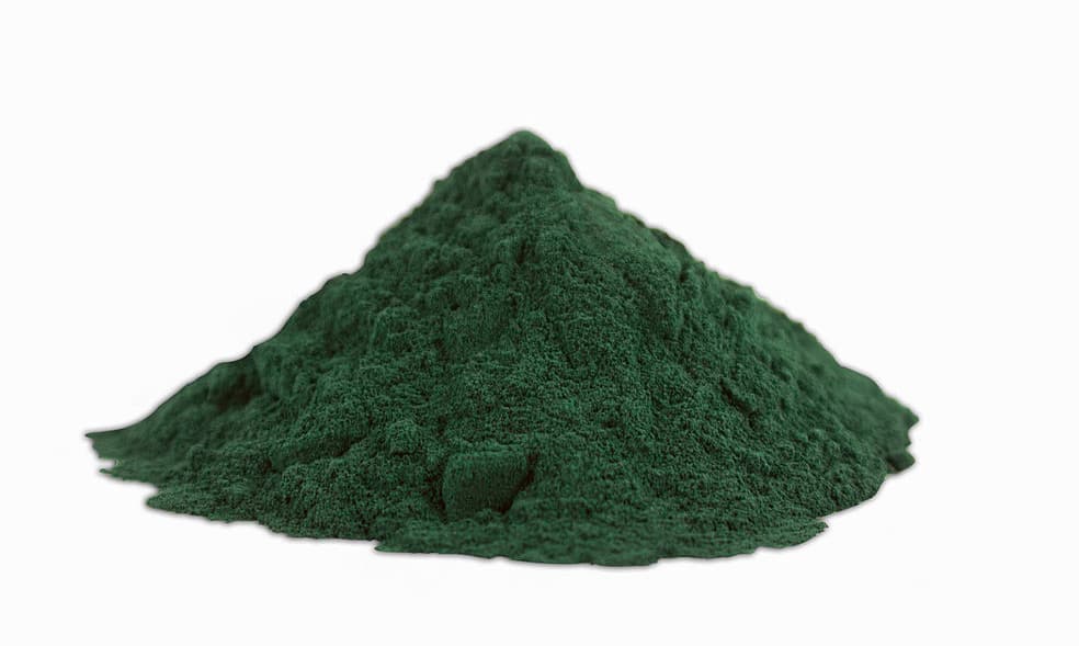 ALGAMAR - ESPIRULINA EN POLVO GRANEL 1Kg BIO (ENCARGO)