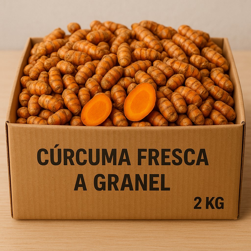 Cúrcuma fresca ecológica 2 Kg