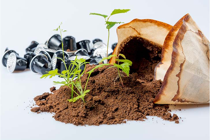 ¿POR QUÉ USAR CÁPSULAS DE CAFÉ COMPOSTABLES? 