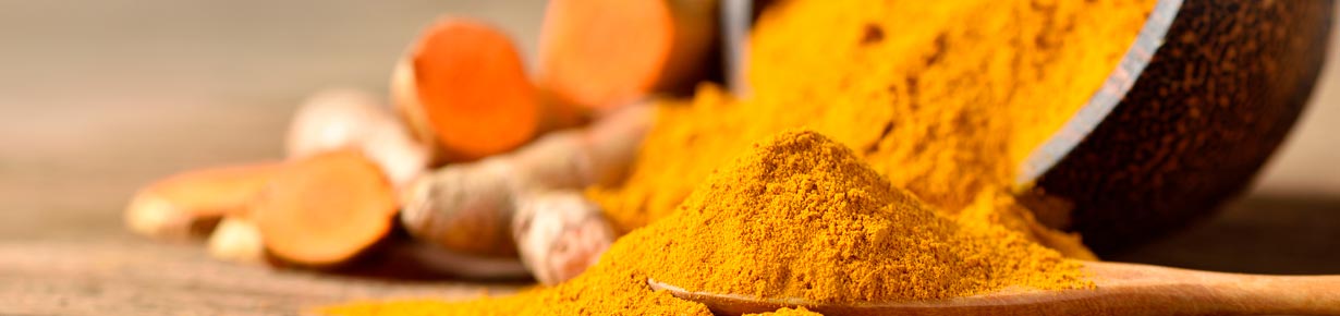 raíz de la familia del jengibre con propiedades antiinflamatorias y antioxidantes